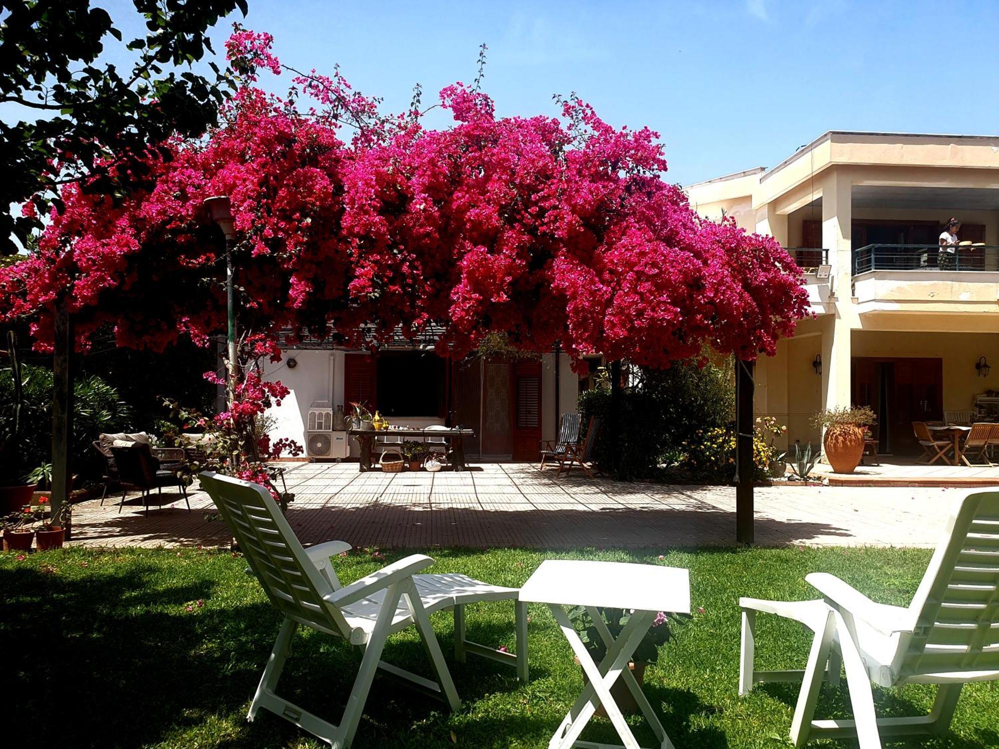 La Depandance Di Villa Rosa Locazioni Brevi Mondello Ngoại thất bức ảnh
